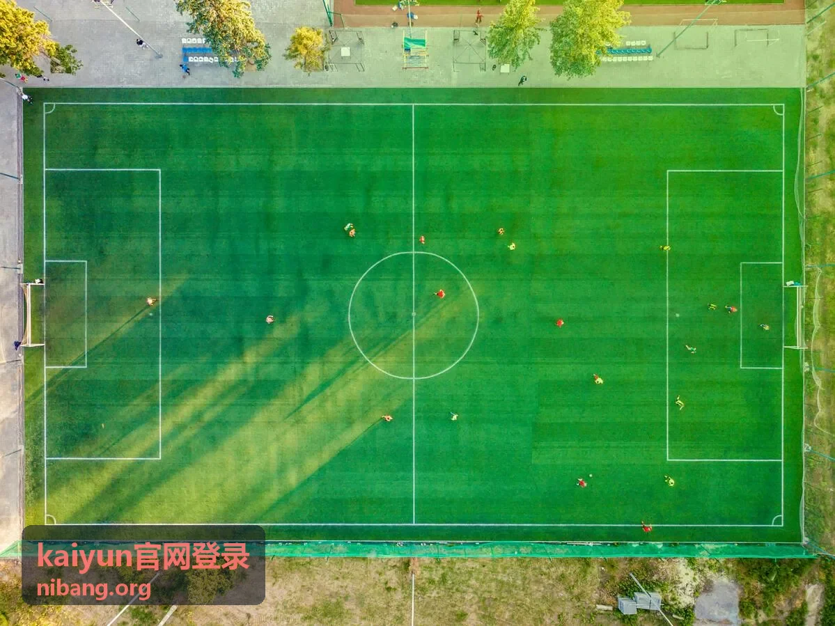 kaiyun官网登录账号安全与使用场景配图